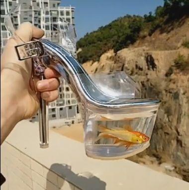 高跟鞋裡養魚每走一步都被晃得暈頭轉向，路人考慮下魚的感受