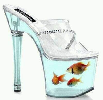 高跟鞋裡養魚每走一步都被晃得暈頭轉向，路人考慮下魚的感受