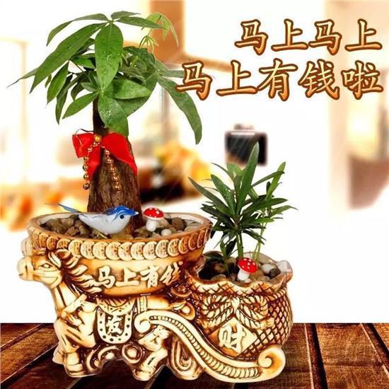 11月運勢大開，錢財進家門，3生肖財富堆成山 