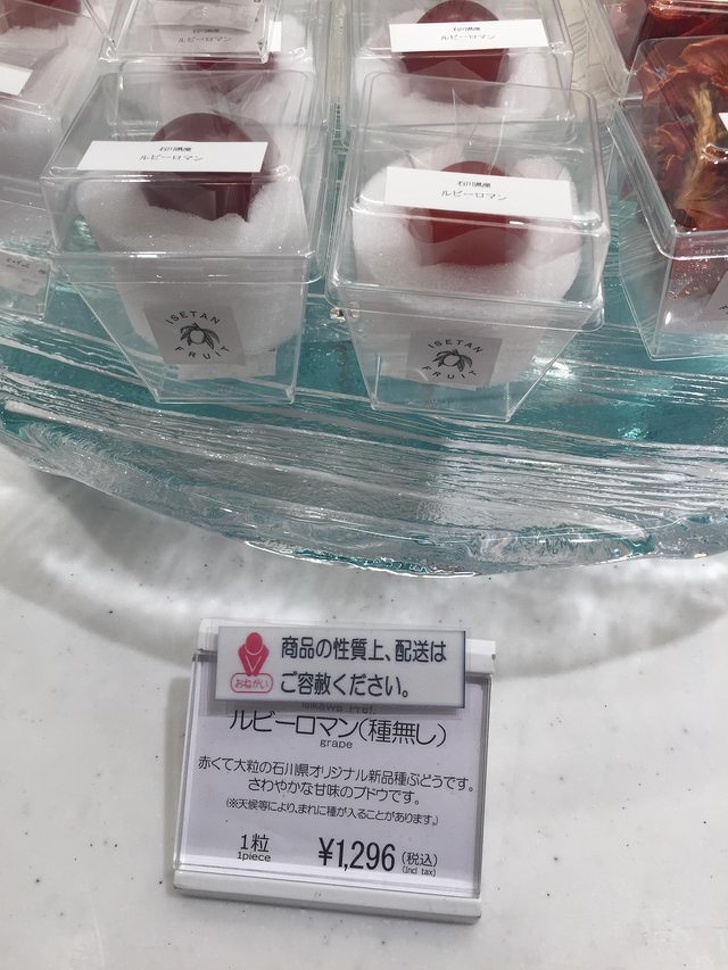 巨大的馬肺視覺超衝擊　23張「幫大家解開好奇心」的揭秘照片