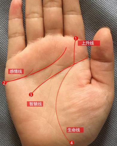  不論男女「此處」越長，命就越長，註定一生福大命大