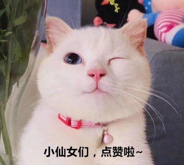 心理學：四個茶壺你最不喜歡的是哪個？測你過不去的磨難是什麼 