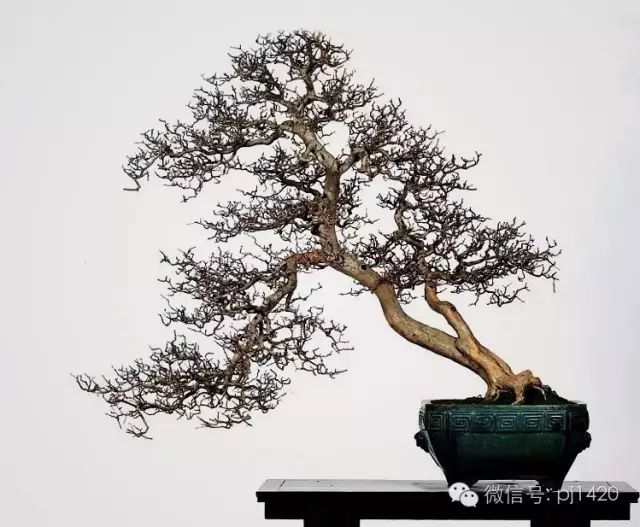 嶺南造型技法的秘訣原來在這！ 
