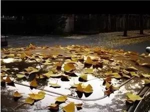 我問佛：未來的路 我該怎麼走？