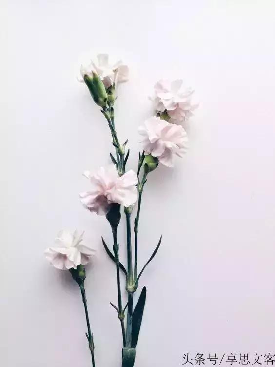 人，活一天就少一天，一轉身就是一輩子（此文無價）