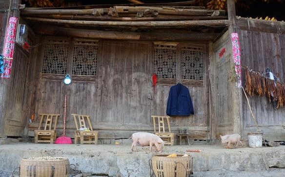 兒子把重病母親趕出門，只給一件破大衣，母親半路一摸口袋醒悟
