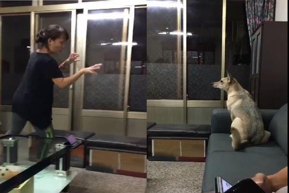 阿婆每晚給狗狗跳僵屍舞逗狗狗開心，女兒爆笑：她以前很怕狗！