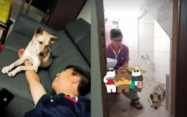 阿婆每晚給狗狗跳僵屍舞逗狗狗開心，女兒爆笑：她以前很怕狗！