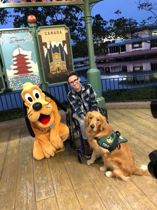 服務犬金金看到最愛的布魯托「變好大」　秒衝過去互動把網友萌翻