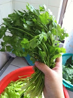 河婆擂茶          