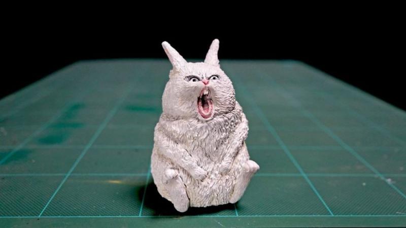 謎之毛孩照「變立體公仔」！圓滾滾「飛天貓球」也難不倒：百分百神還原　