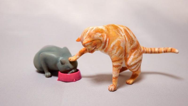 謎之毛孩照「變立體公仔」！圓滾滾「飛天貓球」也難不倒：百分百神還原　