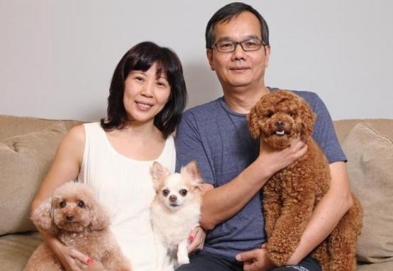 泰迪被打破頭，扔收容所，被收養後，它的表現讓新主人感到揪心