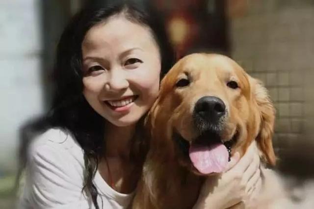 鏟屎官高價送泰迪上課，探望時狗狗正在午休，意外發現愛犬在害怕