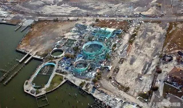 把人騙的團團轉，還當領隊帶同伴「越獄」……這隻海豚簡直要成精
