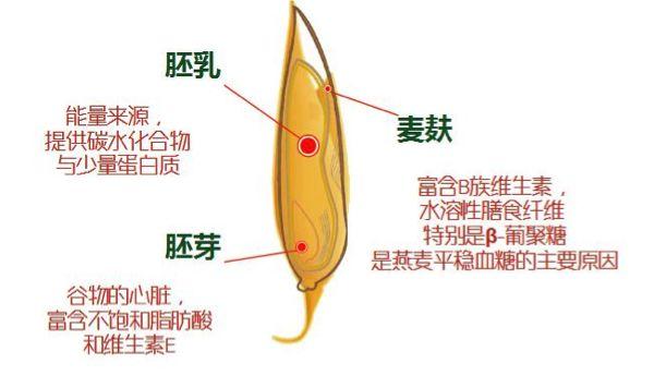 全麥麵包，您選對了嗎
