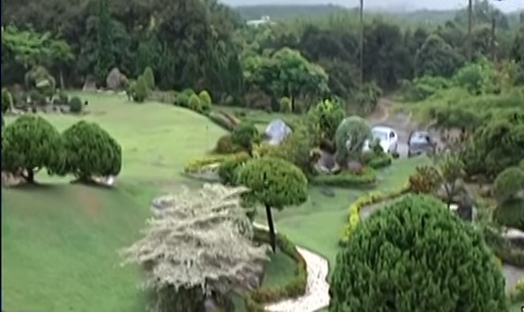 父母逝世後留下農地，7兄妹「不分家不分地」，將農地改造成美麗公園，齊心守護父母留下的「最後禮物」！