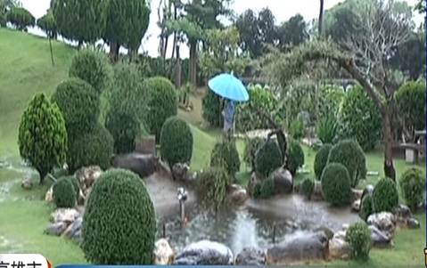 父母逝世後留下農地，7兄妹「不分家不分地」，將農地改造成美麗公園，齊心守護父母留下的「最後禮物」！