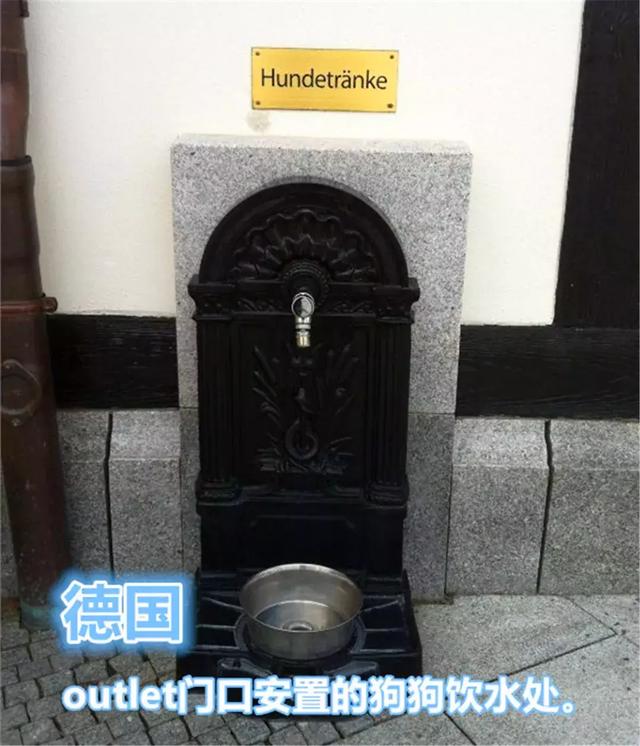 國外為狗狗建設專用設施，鏟屎官犬證不白辦，在細節處體現文明