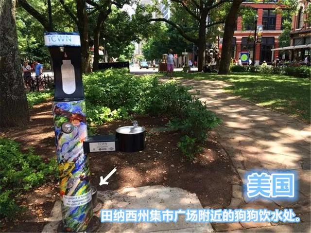 國外為狗狗建設專用設施，鏟屎官犬證不白辦，在細節處體現文明