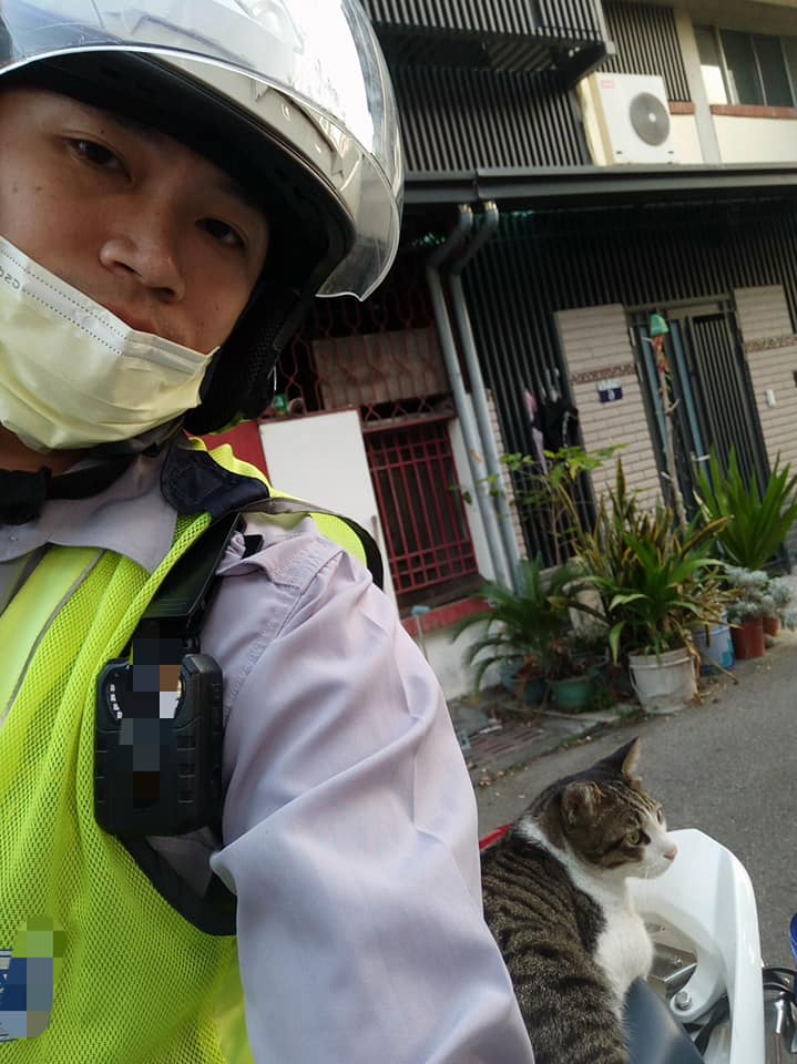 後座「被自來貓霸佔」好崩潰...警察叔叔也沒轍：怎麼辦～牠還打哈欠！ 