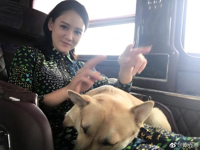 擼狗女神陳喬恩曬出自家田園犬，意外戳中杭州愛狗人士的淚點
