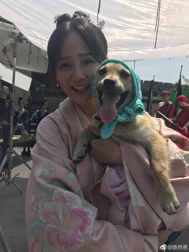 擼狗女神陳喬恩曬出自家田園犬，意外戳中杭州愛狗人士的淚點
