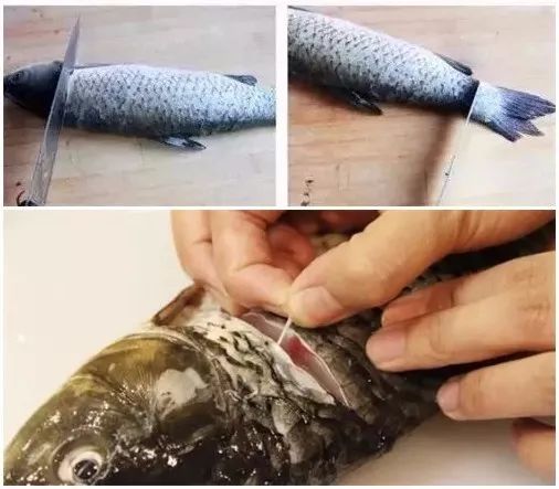 燉魚湯總有一股土腥味？只需這一招，腥味輕鬆去除！
