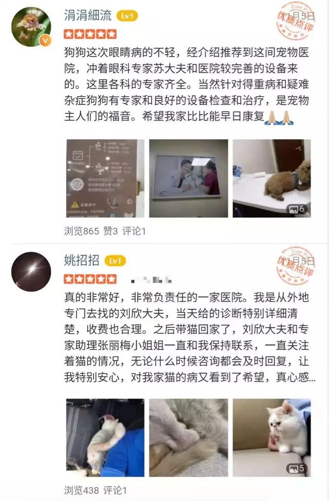就因為這個，很多狗狗慘遭丟棄……