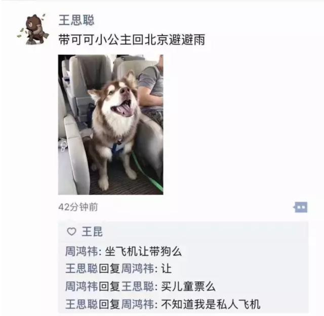 你永遠不知道有錢人會怎麼養狗