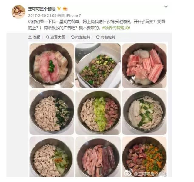 你永遠不知道有錢人會怎麼養狗
