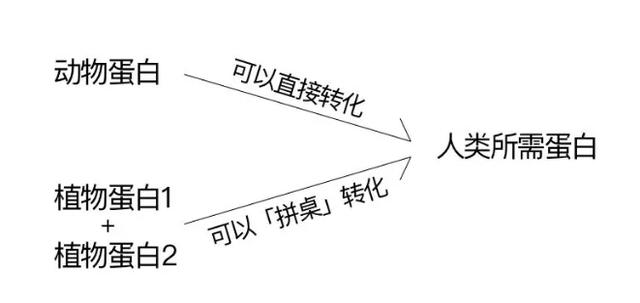 教你看懂狗狗糧上的營養表