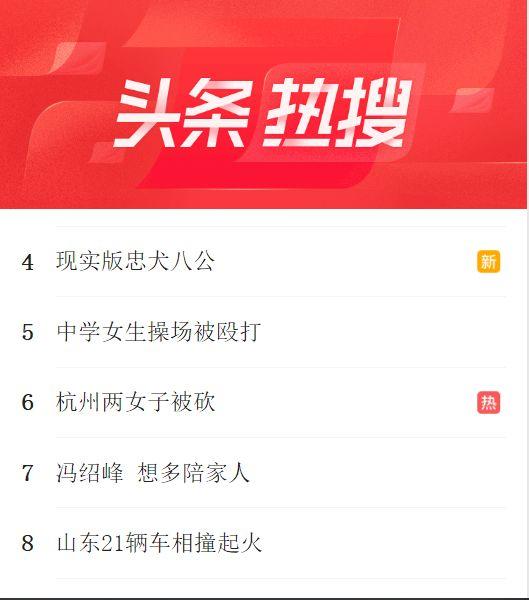 忠犬在路中央等待80天，可主人早已離開人間，狗狗：餘生等你