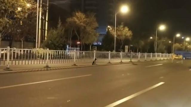 忠犬在路中央等待80天，可主人早已離開人間，狗狗：餘生等你