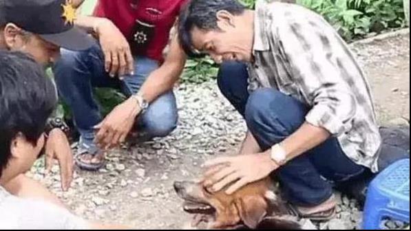 狗狗貪玩與主人走散，風雨中傻傻在原地等一年，直到看見主人熟悉身影！