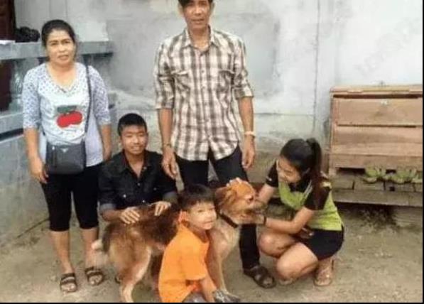 狗狗貪玩與主人走散，風雨中傻傻在原地等一年，直到看見主人熟悉身影！
