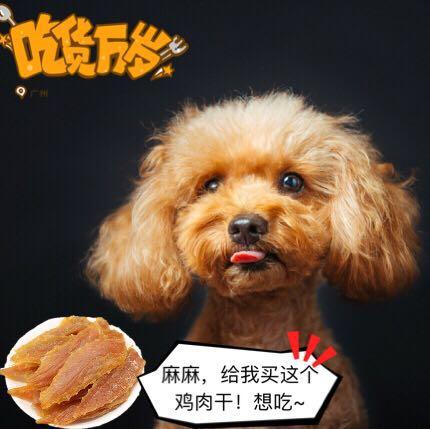 這5種情況下，不要隨便喊狗狗的名字，否則它再也不聽你的