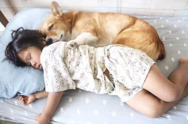 在狗狗心中，你是什麼樣的地位，從睡在哪裡可以看出來