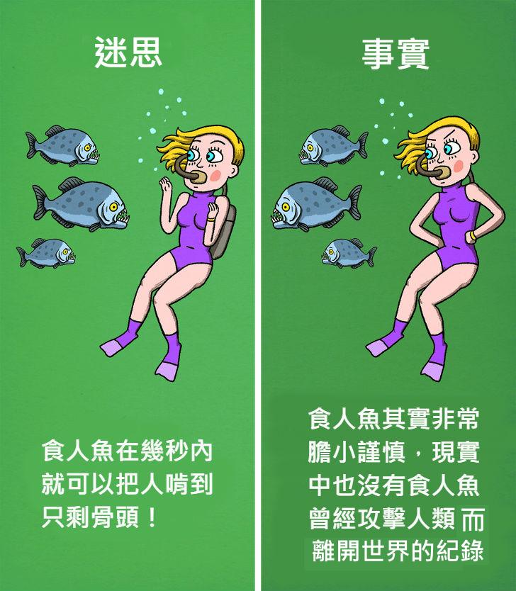 12個「被好萊塢耍得團團轉」的錯誤電影迷思！#4 食人魚「比你想像中膽小」遇到根本不用怕