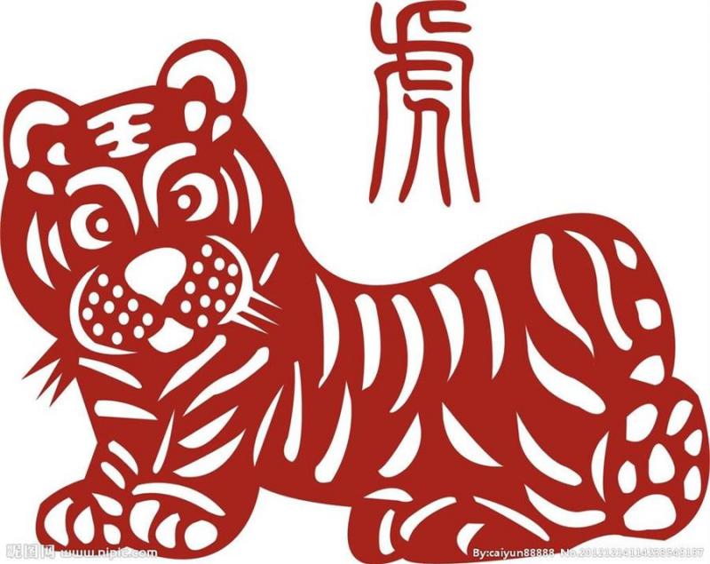 【2019年生肖運程】2019年黃土豬年即將來到，今年走黴運的你，搞不好明年會鴻運當頭呢！快來揭秘12生肖運程吧！