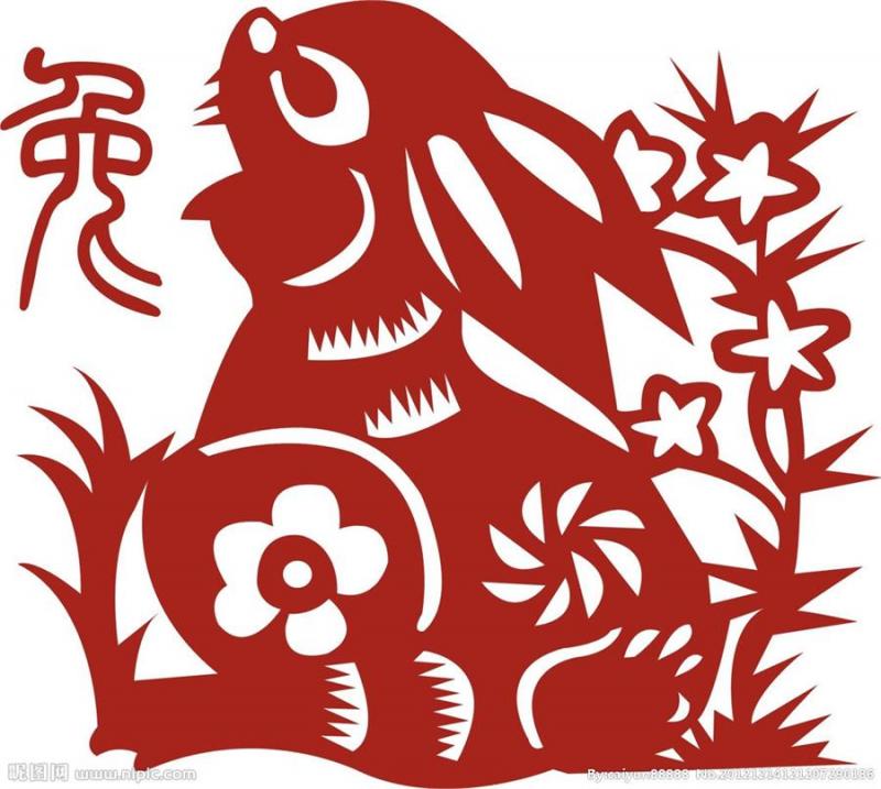 【2019年生肖運程】2019年黃土豬年即將來到，今年走黴運的你，搞不好明年會鴻運當頭呢！快來揭秘12生肖運程吧！