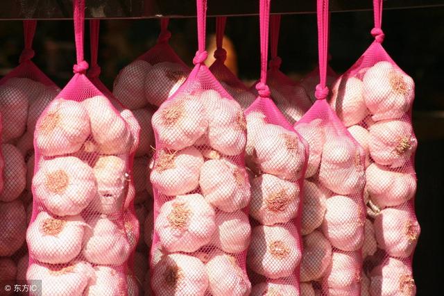 保存大蒜原來這麼簡單，放上一年都不會發芽，可惜很多人都不知道！
