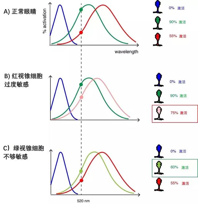 色盲患者看到繽紛色彩，竟然源自一個意外