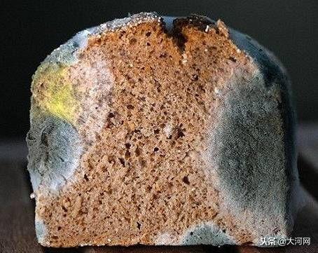 20個科室醫生最不想讓你做的事，現在知道也還不晚！