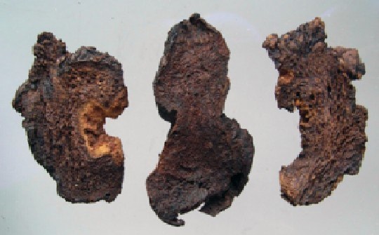 最強「降血壓血糖」秘方，只需要每天一杯茶，半個月血壓血糖就恢復正常！