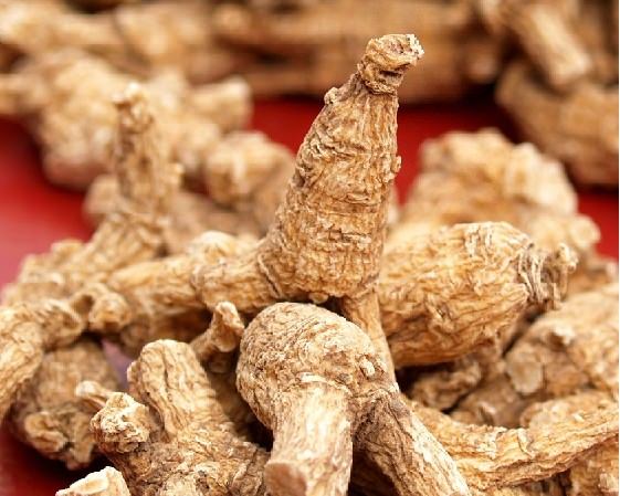 最強「降血壓血糖」秘方，只需要每天一杯茶，半個月血壓血糖就恢復正常！
