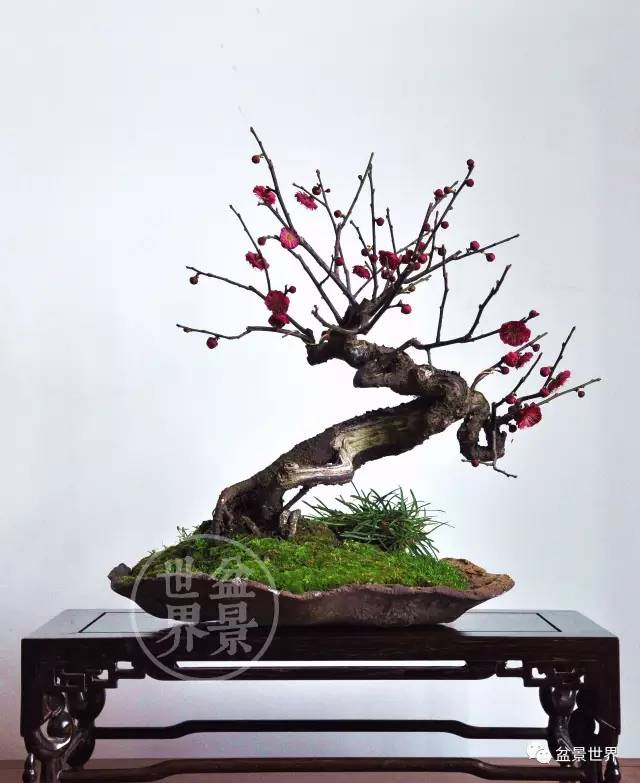 學會拐彎是一種大智慧 