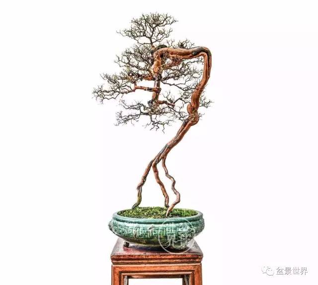學會拐彎是一種大智慧 