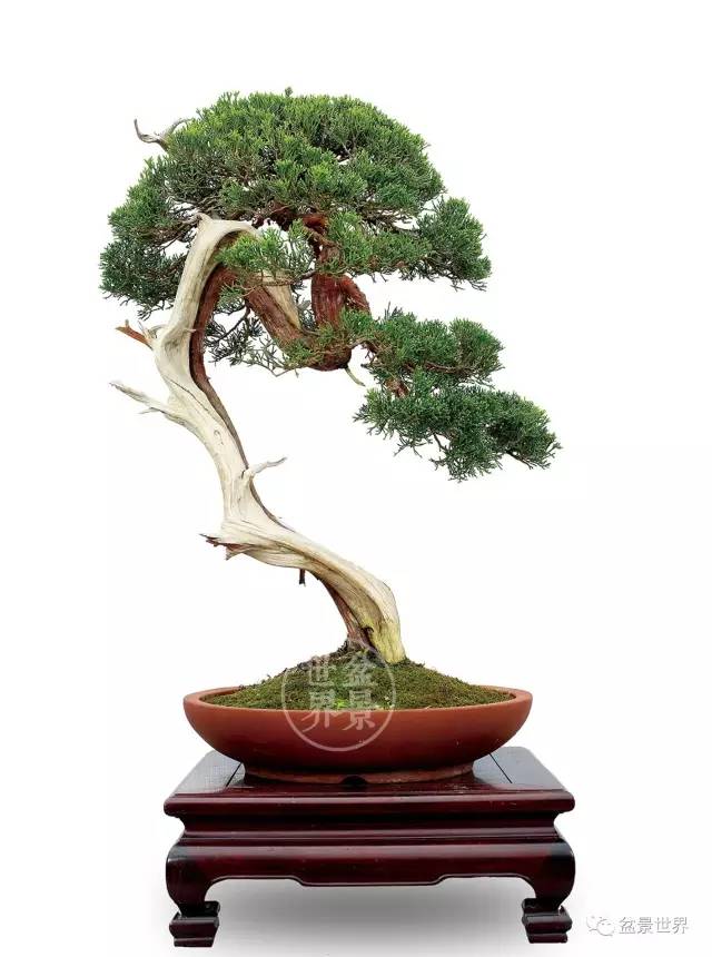 學會拐彎是一種大智慧 