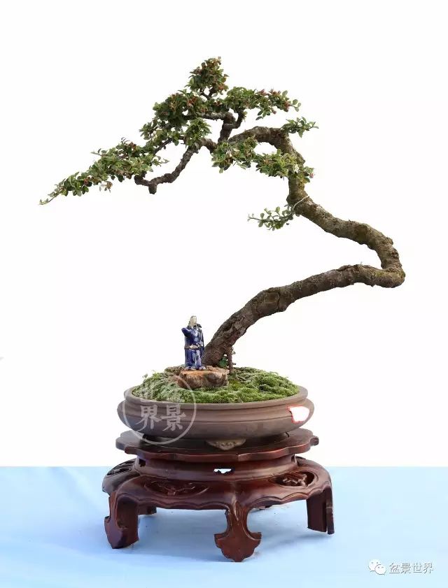 學會拐彎是一種大智慧 
